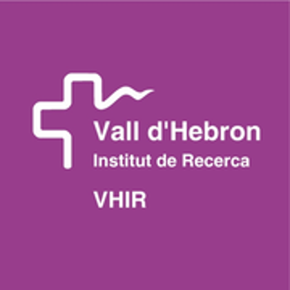 Logo Vall Dhebron Small